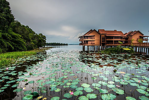 SAP汽車(chē)部件案例 | 美晨科技